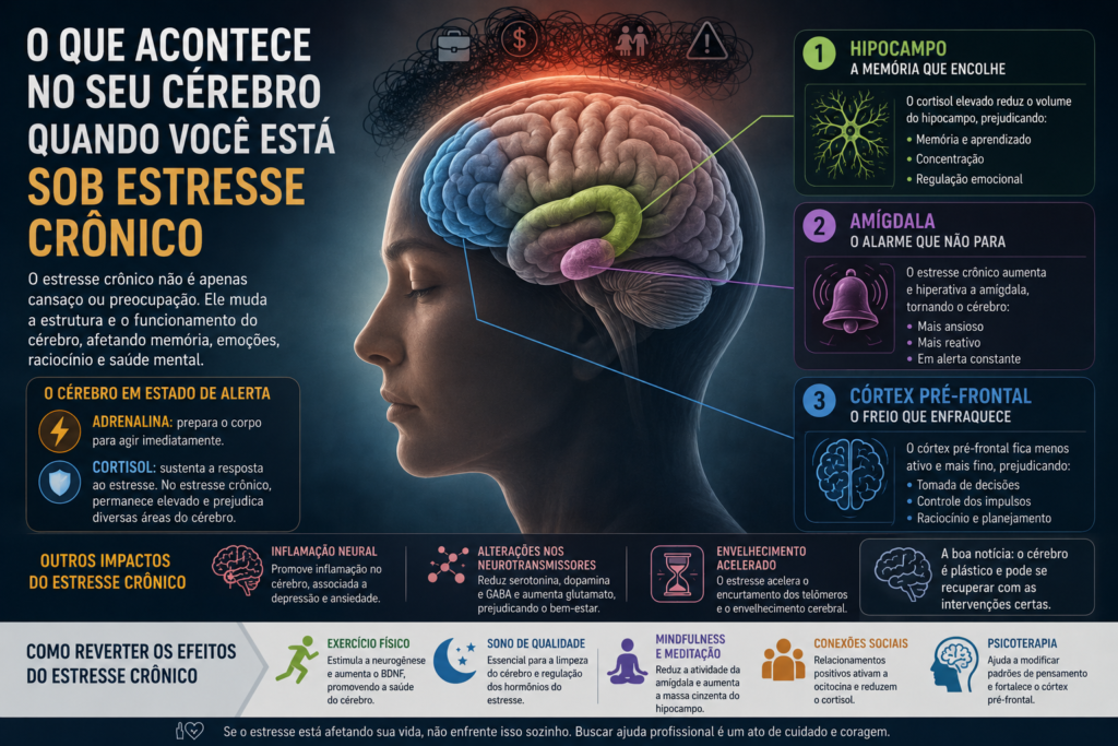 Ilustração do cérebro humano destacando o hipocampo, a amígdala e o córtex pré-frontal para explicar como o estresse crônico afeta a memória, as emoções e a tomada de decisões.
