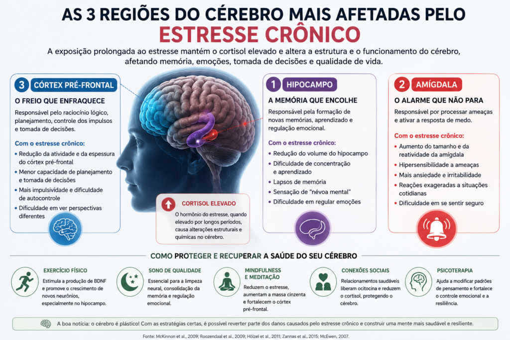 Infográfico ilustrando as três regiões do cérebro mais afetadas pelo estresse crônico — hipocampo, amígdala e córtex pré-frontal — explicando seus efeitos sobre memória, emoções, tomada de decisões e estratégias para proteger a saúde cerebral, como exercícios físicos, sono de qualidade, mindfulness, conexões sociais e psicoterapia.