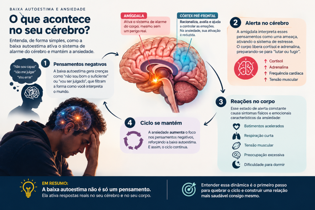 Infográfico da fisiologia da ansiedade mostrando a amígdala, o córtex pré-frontal, a resposta ao estresse e o ciclo de pensamentos negativos associado à baixa autoestima.